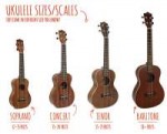 ukulele-sizes-1-1.jpg