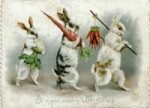 rabbits-with-carrots.jpg