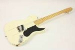 fender-limited-snakehaed-telecaster-12.jpeg