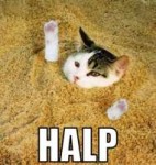 cat-halp-1-1[1].jpg