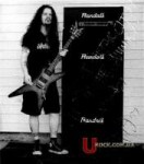 1370345764dimebag-amps.jpg