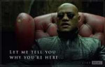 why-are-we-here-the-matrix-622x40002.jpg