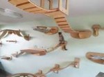 overhead-cat-playground-room-goldtatze-1.jpg