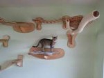 overhead-cat-playground-room-goldtatze-4.jpg