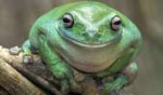 Life+on+mirth2521+Who+said+animals+don2527t+have+a+sense+of[...].jpg