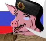 15241542364300.png