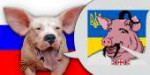 Свинособака.png