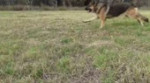 15035961844480.webm