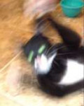 15327318641090.jpg