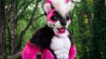 181007184119-furry-costume-pink-wolf-super-tease.jpg