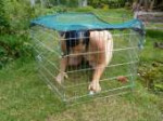 rabbitcage-768x576[1].jpg