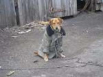 image[1]