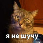 15238264926730.png