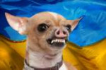 укропсина.jpg