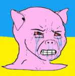 15606286321770.png