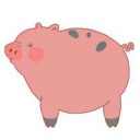 pig.png