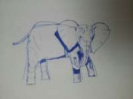 Слон.jpg