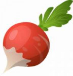 radish-5.png