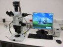 stereo-mikroskop.jpg