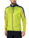 Salomon Fast Wing Hoodie - Mens.jpg