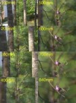 focal-lengths-5.jpg