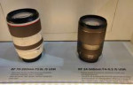 Canon-RF-70-200-and-24-240mm.jpg