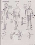 Susanna Oroyan - Designing the Doll. From Concept to Constr[...]