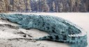 Нильский-крокодил-фото.jpg