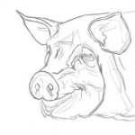 pig1.png