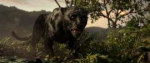 Mowgli.Legend.of.the.Jungle.2018.WEB-DLRip.1.46Gb.MegaPeer.[...].jpg