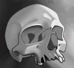 skull-study-simple-shading.jpg