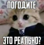 169121783361698046.jpg