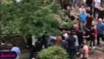 hUxICdlC.webm