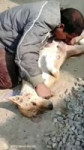 1709710388786445.webm