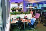 rdp-office-2.jpg