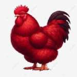 pngtree-red-rooster-in-white-background-png-image11888237.png