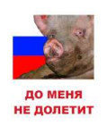 9D3BB67E-954A-453B-A567-47BA49F4F993.jpeg