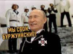 241.jpg