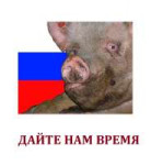 17239891812340.png