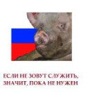 16920355236100.png