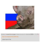 168560739668202.jpg