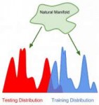 neural-manifold