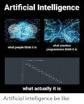artificial-intelligence-what-amateur-programmers-think-it-i[...].png