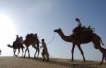 Camel-safari-rajasthan-gomad-nomad-1000x640.jpg