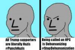 npc2.jpeg