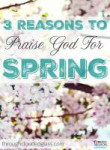 3-Reasons-to-Praise-God-for-Spring-441x600.jpg