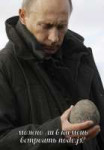 js.node.js stone putin meme.jpeg