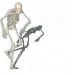 dancing-skeleton-gif-9.gif