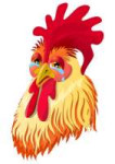 the-emotional-version-of-the-character-rooster-in-tears-sad-cock-vector-illustration-400-80373489 (1).jpg