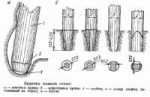 image019.png